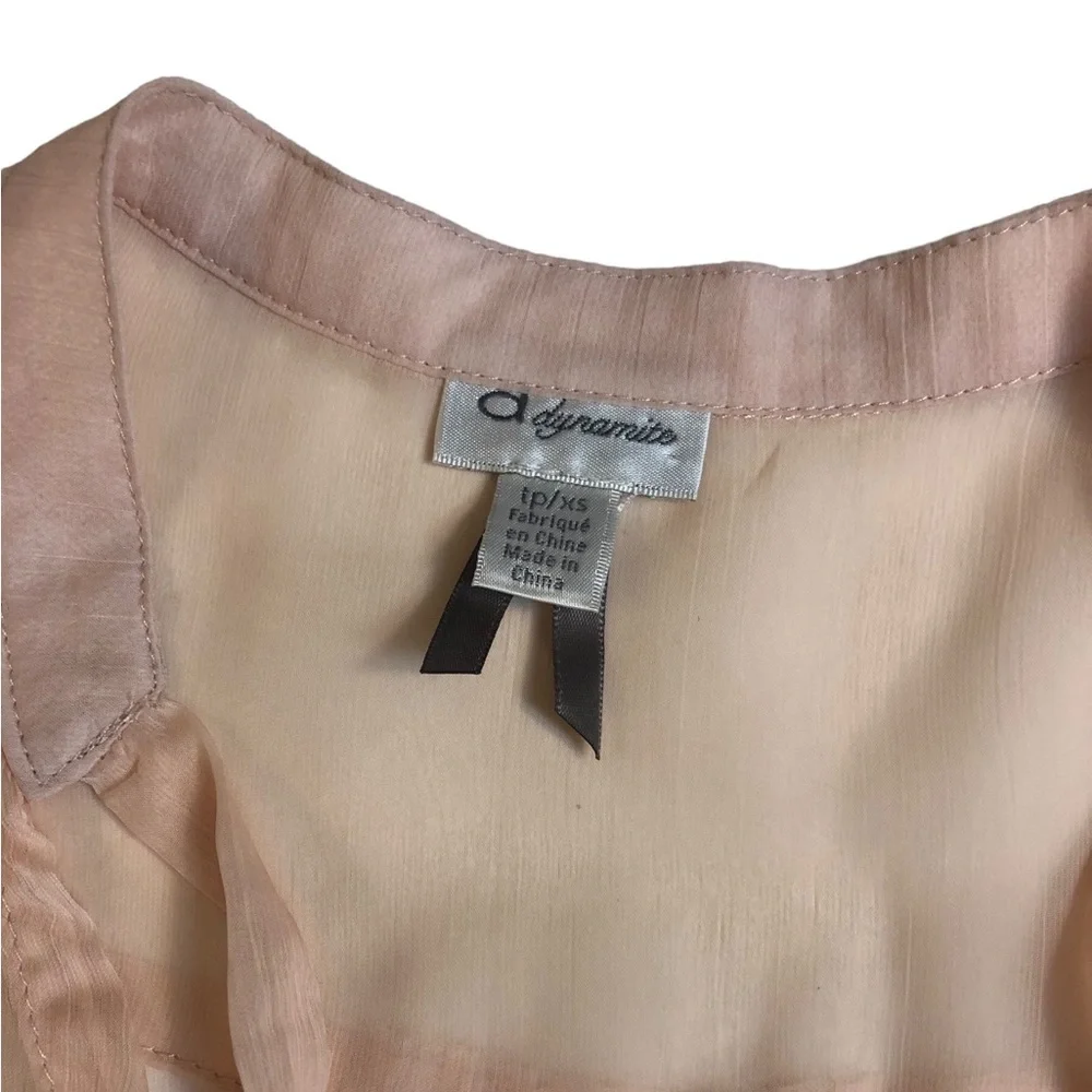 Blush Gauzy Chiffon Sheer Tunic Blouse with Buttons and Pleats - Picture 13 of 16